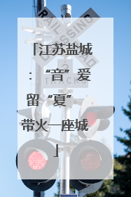 江苏盐城：“音”爱留“夏” 带火一座城