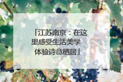 江苏南京：在这里感受生活美学 体验诗意栖居