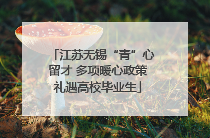 江苏无锡“青”心留才 多项暖心政策礼遇高校毕业生