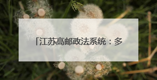 江苏高邮政法系统：多措并举护航企业发展