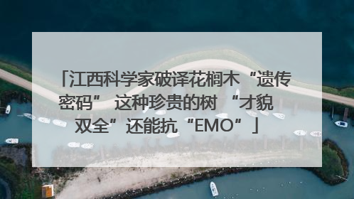 江西科学家破译花榈木“遗传密码” 这种珍贵的树 “才貌双全”还能抗“EMO”