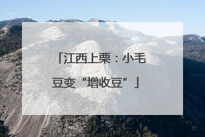 江西上栗：小毛豆变“增收豆”