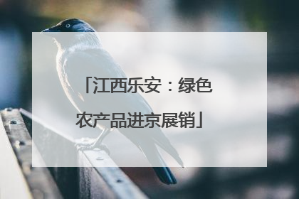 江西乐安：绿色农产品进京展销
