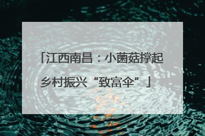 江西南昌：小菌菇撑起乡村振兴“致富伞”