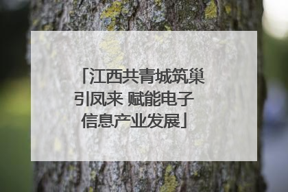 江西共青城筑巢引凤来 赋能电子信息产业发展