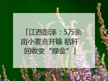 江西彭泽：5万余亩小麦喜开镰 秸秆回收变“绿金”