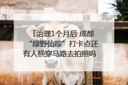治理1个月后 成都“绿野仙踪”打卡点还有人横穿马路去拍照吗？｜民情瞭望