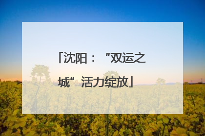 沈阳：“双运之城”活力绽放