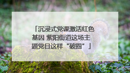 沉浸式党课激活红色基因 紫阳街道这场主题党日这样“破圈”