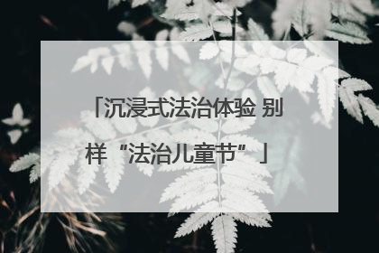 沉浸式法治体验 别样“法治儿童节”