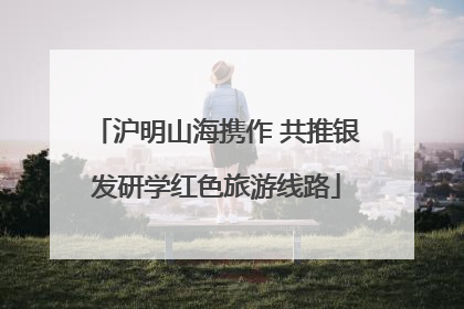 沪明山海携作 共推银发研学红色旅游线路