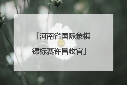 河南省国际象棋锦标赛许昌收官