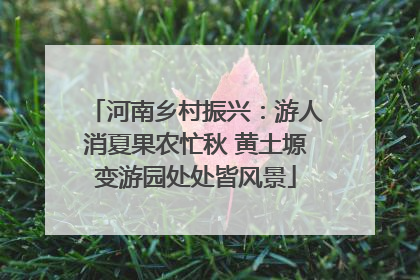 河南乡村振兴：游人消夏果农忙秋 黄土塬变游园处处皆风景