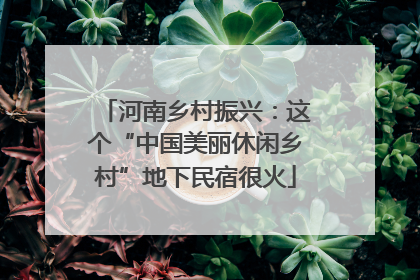 河南乡村振兴：这个“中国美丽休闲乡村”地下民宿很火