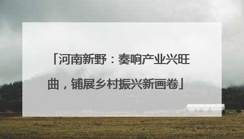 河南新野：奏响产业兴旺曲，铺展乡村振兴新画卷