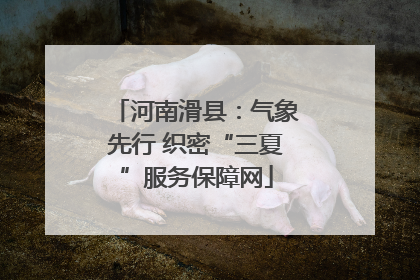 河南滑县：气象先行 织密“三夏”服务保障网
