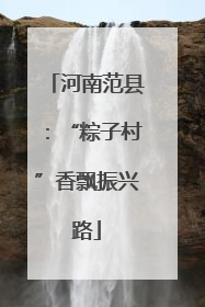 河南范县：“粽子村”香飘振兴路