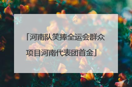 河南队笑捧全运会群众项目河南代表团首金