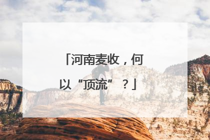 河南麦收，何以“顶流”？
