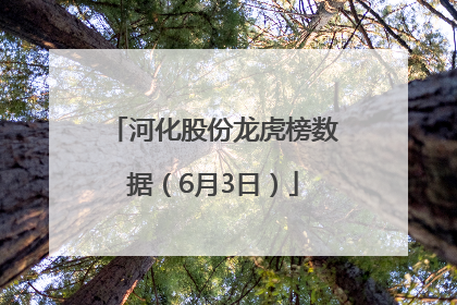河化股份龙虎榜数据（6月3日）