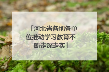 河北省各地各单位推动学习教育不断走深走实