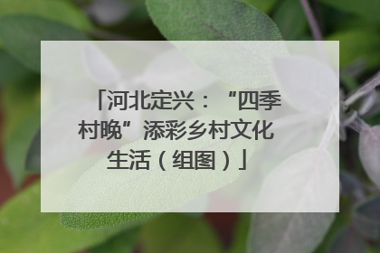 河北定兴：“四季村晚”添彩乡村文化生活（组图）