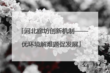 河北廊坊创新机制——优环境解难题促发展