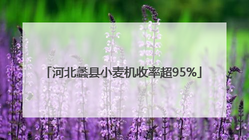 河北蠡县小麦机收率超95%