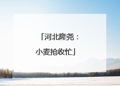 河北隆尧：小麦抢收忙