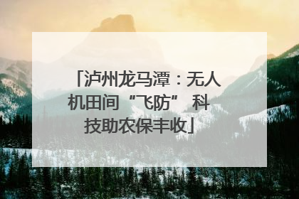 泸州龙马潭：无人机田间“飞防” 科技助农保丰收