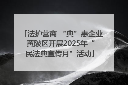 法护营商 “典”惠企业 黄陂区开展2025年“民法典宣传月”活动