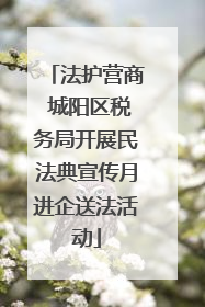 法护营商 城阳区税务局开展民法典宣传月进企送法活动