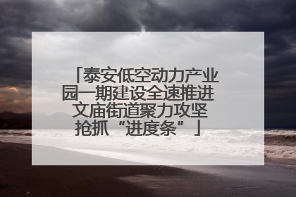 泰安低空动力产业园一期建设全速推进 文庙街道聚力攻坚抢抓“进度条”