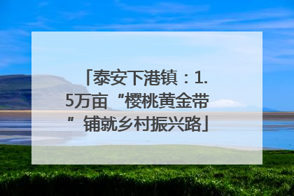 泰安下港镇：1.5万亩“樱桃黄金带”铺就乡村振兴路