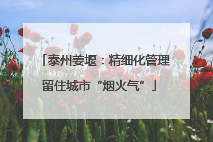 泰州姜堰：精细化管理留住城市“烟火气”