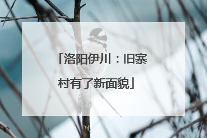 洛阳伊川：旧寨村有了新面貌