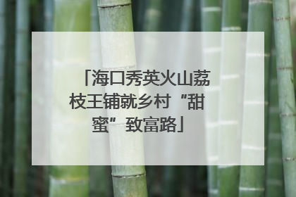 海口秀英火山荔枝王铺就乡村“甜蜜”致富路