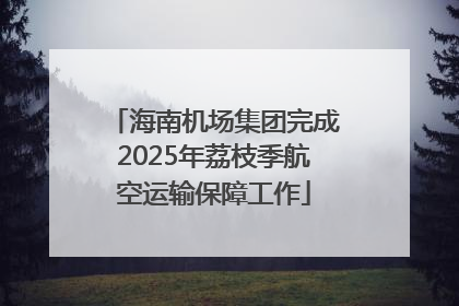 海南机场集团完成2025年荔枝季航空运输保障工作