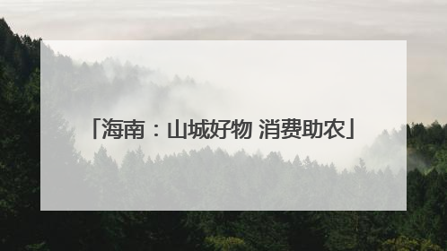 海南：山城好物 消费助农