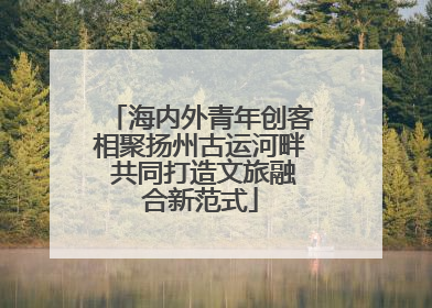 海内外青年创客相聚扬州古运河畔 共同打造文旅融合新范式