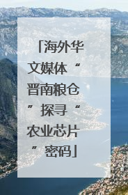 海外华文媒体“晋南粮仓”探寻“农业芯片”密码