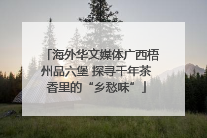 海外华文媒体广西梧州品六堡 探寻千年茶香里的“乡愁味”