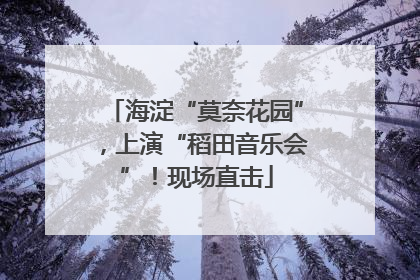 海淀“莫奈花园”，上演“稻田音乐会”！现场直击