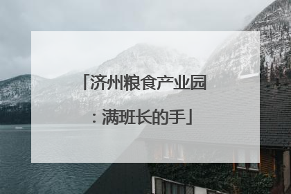 济州粮食产业园：满班长的手
