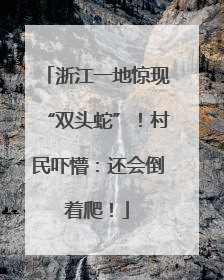 浙江一地惊现“双头蛇”！村民吓懵：还会倒着爬！