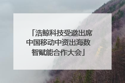 浩鲸科技受邀出席中国移动中资出海数智赋能合作大会