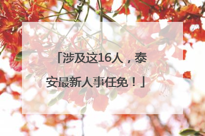 涉及这16人，泰安最新人事任免！