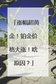 涨幅超黄金！铂金价格大涨！啥原因？