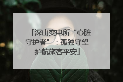 深山变电所“心脏守护者”：孤独守望护航旅客平安