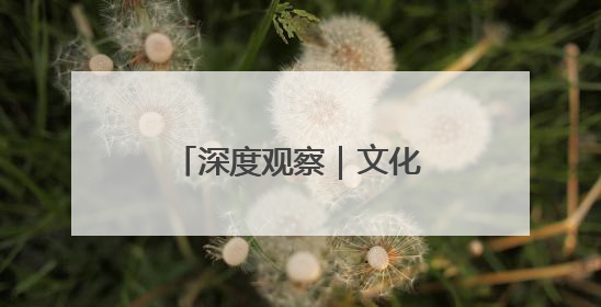 深度观察｜文化为魂 科技为翼